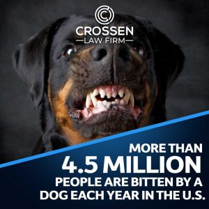 people bitten by a dog
