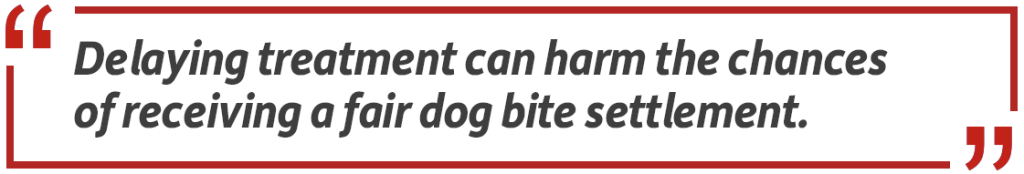 Pull quote: Delaying treatment can harm the chances of receiving a fair dog bite settlement.