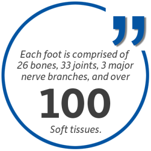 Statistic: Each foot is comprised of 26 bones, 33 joints, 3 major nerve branches, and over 100 soft tissues.